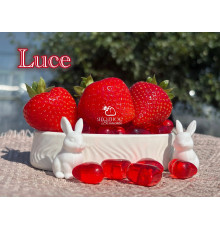 Клубника ремонтантная Luce, Люси, саженцы