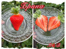 Клубника ремонтанная Брина саженцы