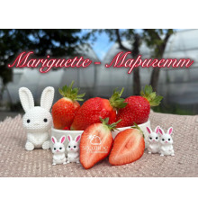 Клубника ремонтантная Mariguett - Маригетт саженцы