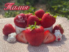 Клубника поздняя Талия саженцы