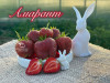 Клубника поздняя Амарант саженцы