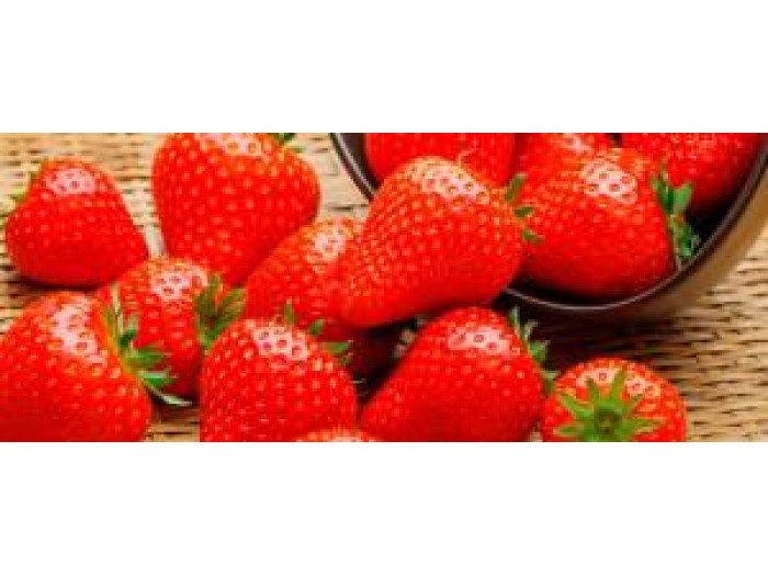 Клубника средний Baya Solara саженцы