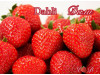 Клубника ранняя Dahli - Дали саженцы