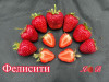 Клубника ранняя Фелисити саженцы