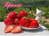 Клубника ранняя Брилла саженцы