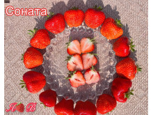 Клубника средняя Соната саженцы