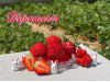 Клубника ранняя Дарселект саженцы