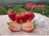 Клубника средняя Кармен саженцы