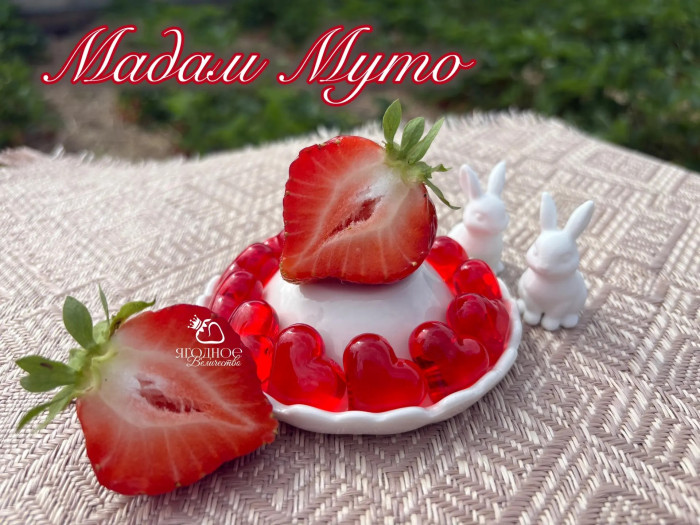 Клубника средняя Мадам Муто саженцы
