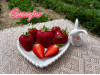 Клубника средняя Сапоре саженцы
