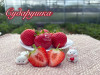 Клубника средняя Сударушка саженцы